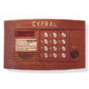Цифрал CCD-2094.1/P блок вызова домофона
