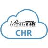 Mikrotik Cloud Hosted Router Perpetual 1 Gbit (P1) Лицензия RouterOS
