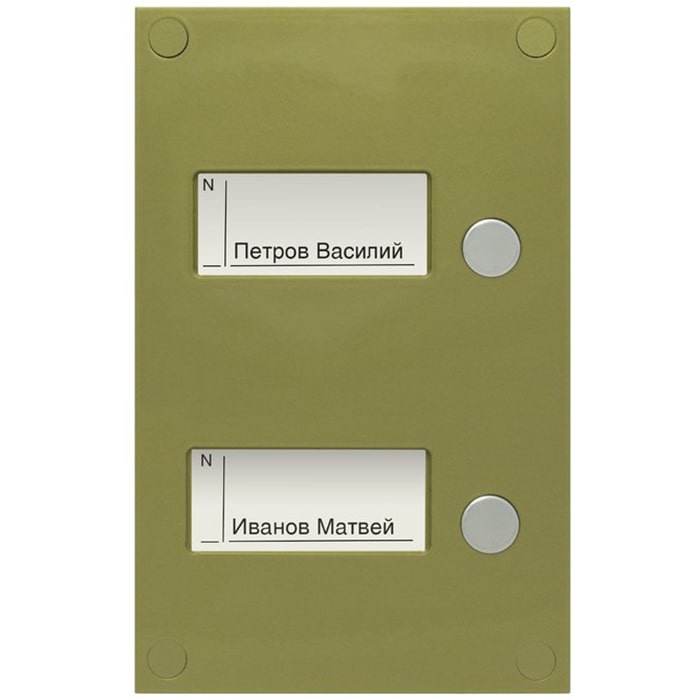 BS-424-2 кнопочная панель Vizit