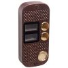 JSB-V082TM PAL (медь) вызывная панель