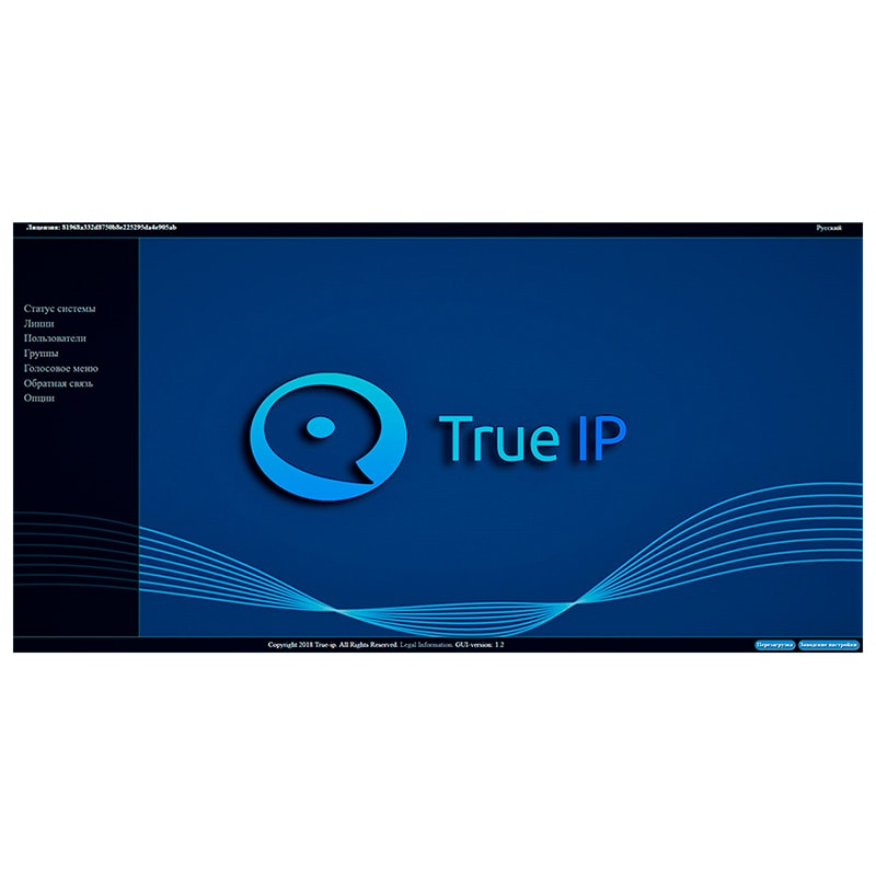 ПО SIP server True IP mini лицензия True IP