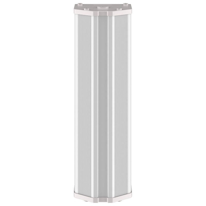 ROXTON CS-830T настенный громкоговоритель