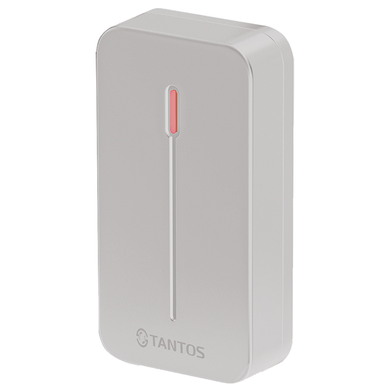 TS-RDR-E mini (серый) считыватель Tantos