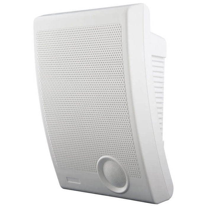 TSo-SW10a громкоговоритель Tantos