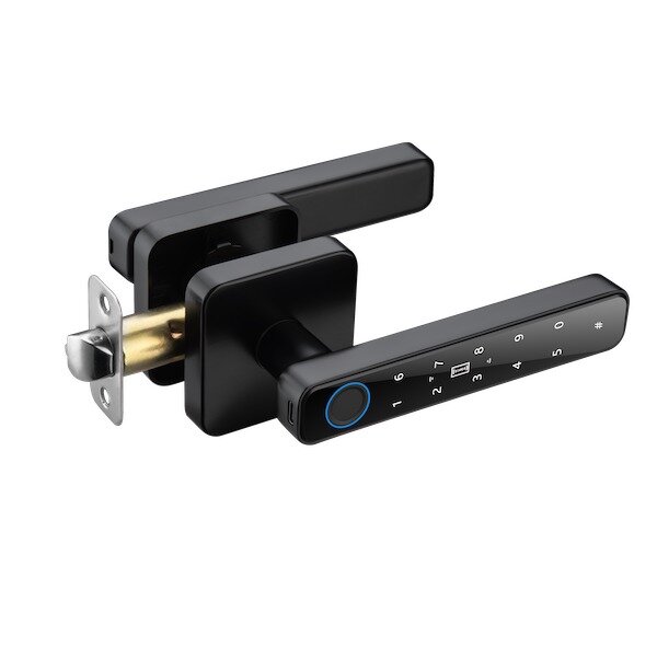 TTL HANDLE CARD ( BLACK )