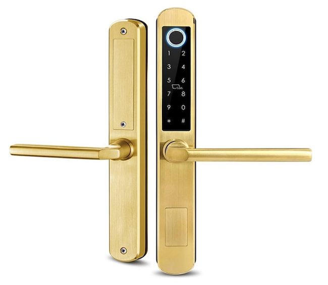 TTL SLIM 211 FP ( GOLD )