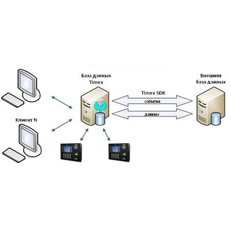 Timex SDK модуль интеграции Smartec