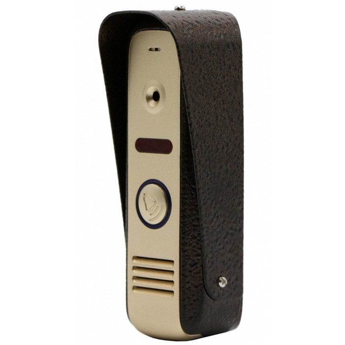 VP1K1 (золото) вызывная панель Altcam