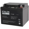 FS 1240 аккумулятор 40Ач 12В Etalon
