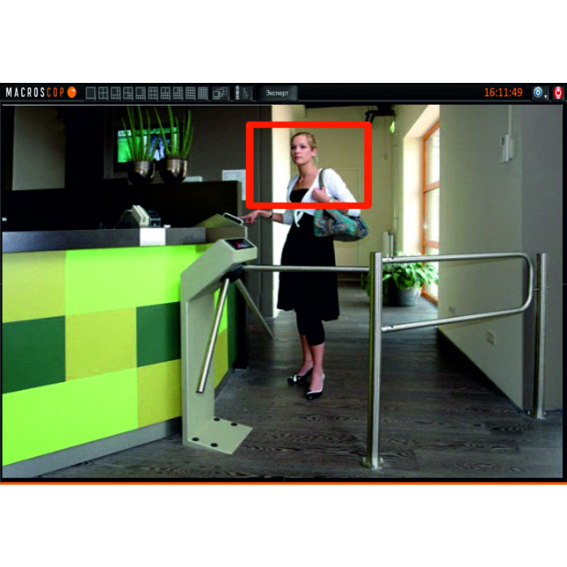 Модуль обнаружения лиц на 1 IP камеру Macroscop