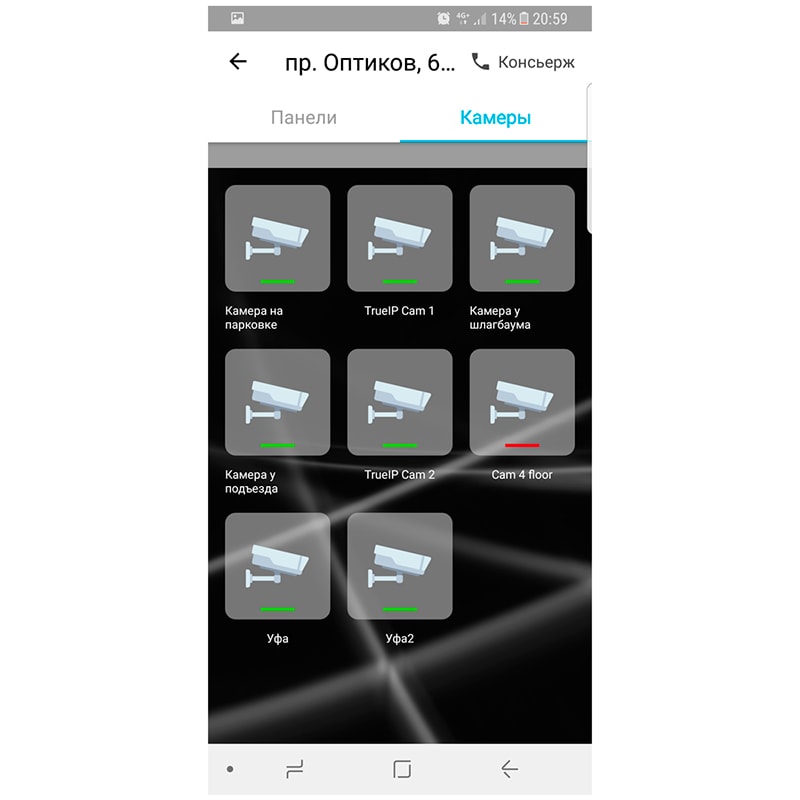 T-nect LITE лицензия True IP