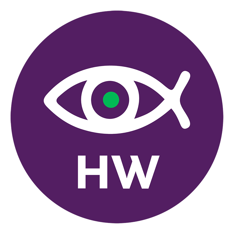 TRASSIR Dewarp HW интеллектуальный модуль