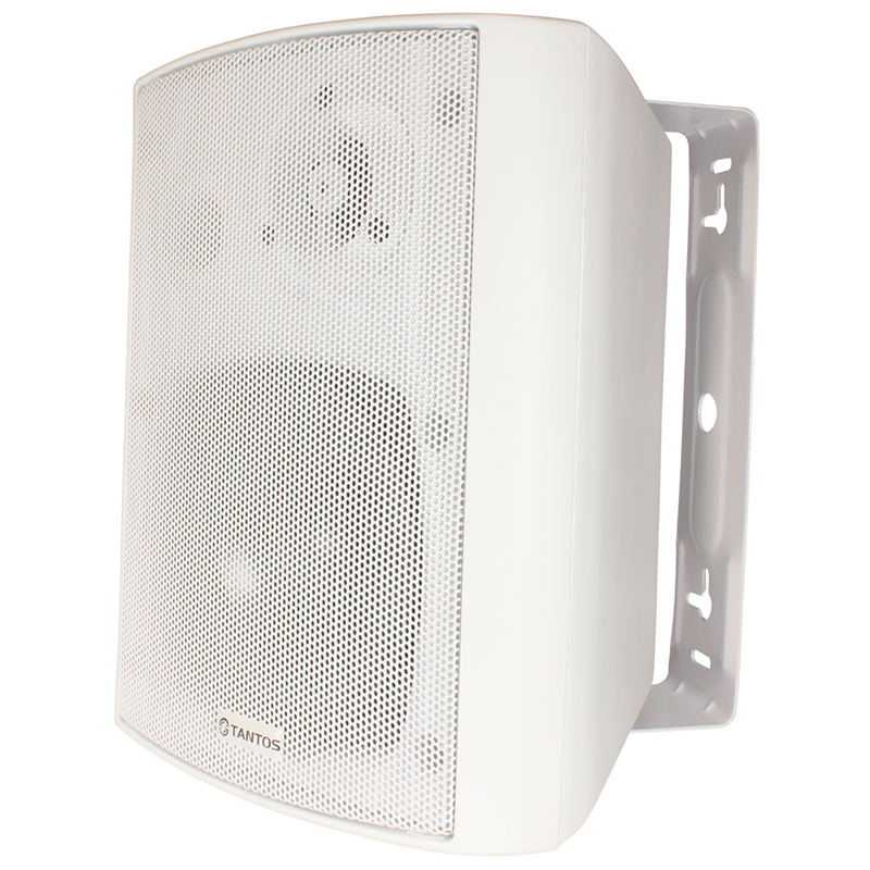 TSo-SW20k громкоговоритель Tantos